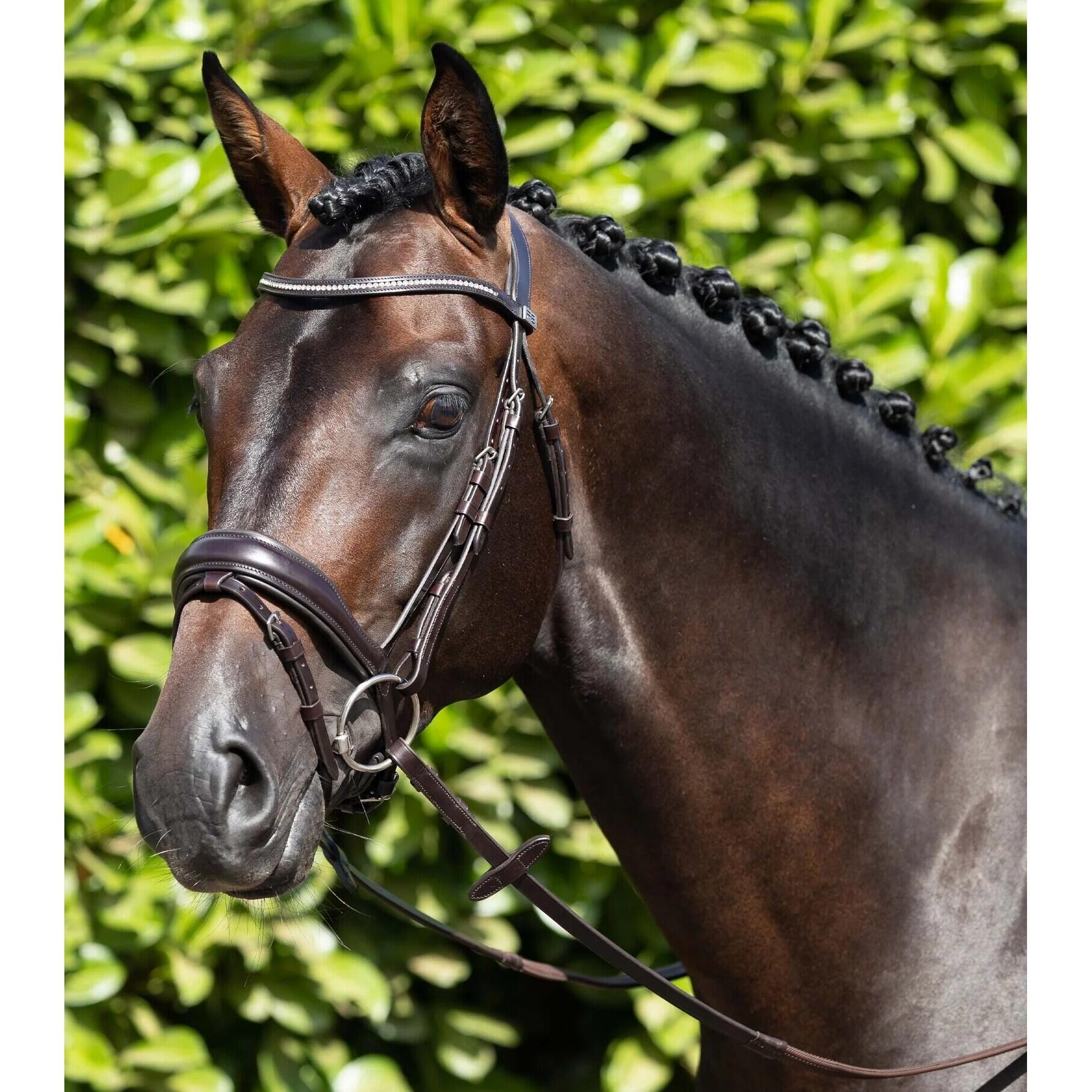 Uzda z anatomicznym nachrapnikiem kombinowanym Premier Equine Stellazzio