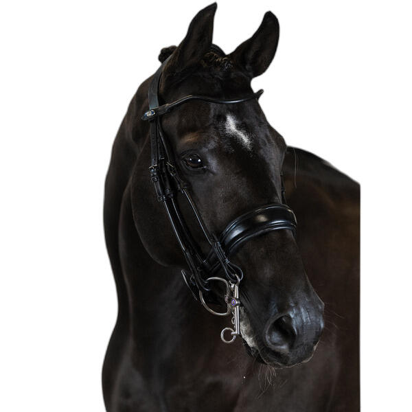 Podwójna wędzidło do jazdy konnej PS of Sweden Passage