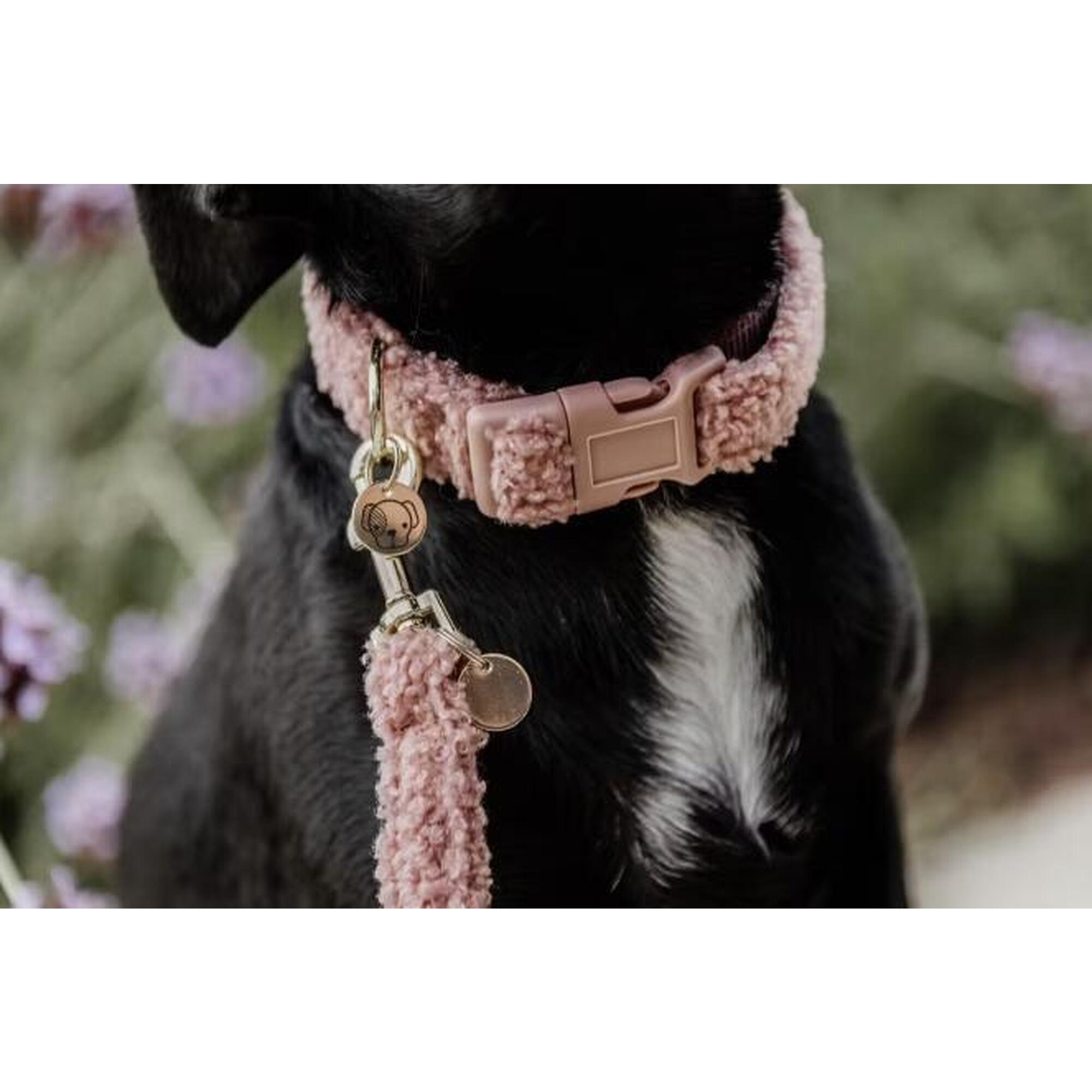 Polarowa obroża dla psa Kentucky Teddy