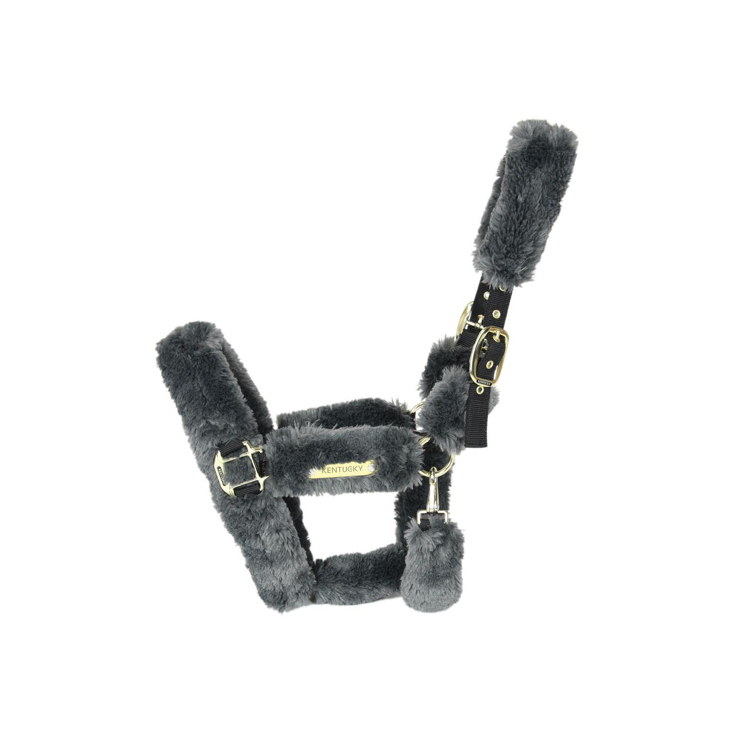 Kantar dla owiec Kentucky