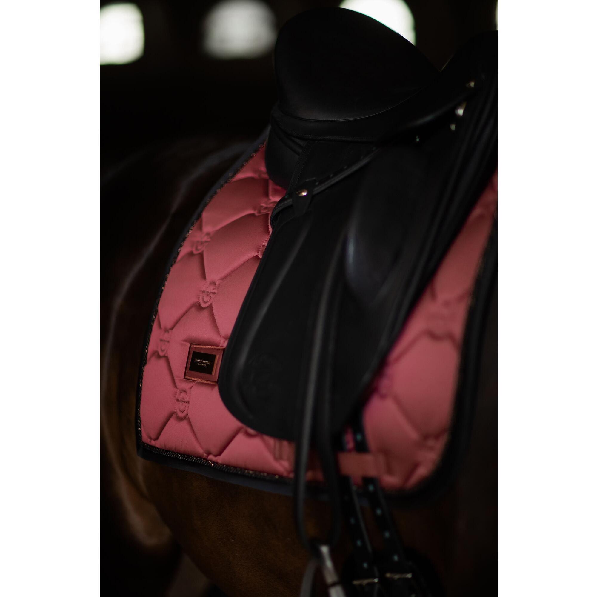 Mata ujeżdżeniowa dla koni Equestrian Stockholm