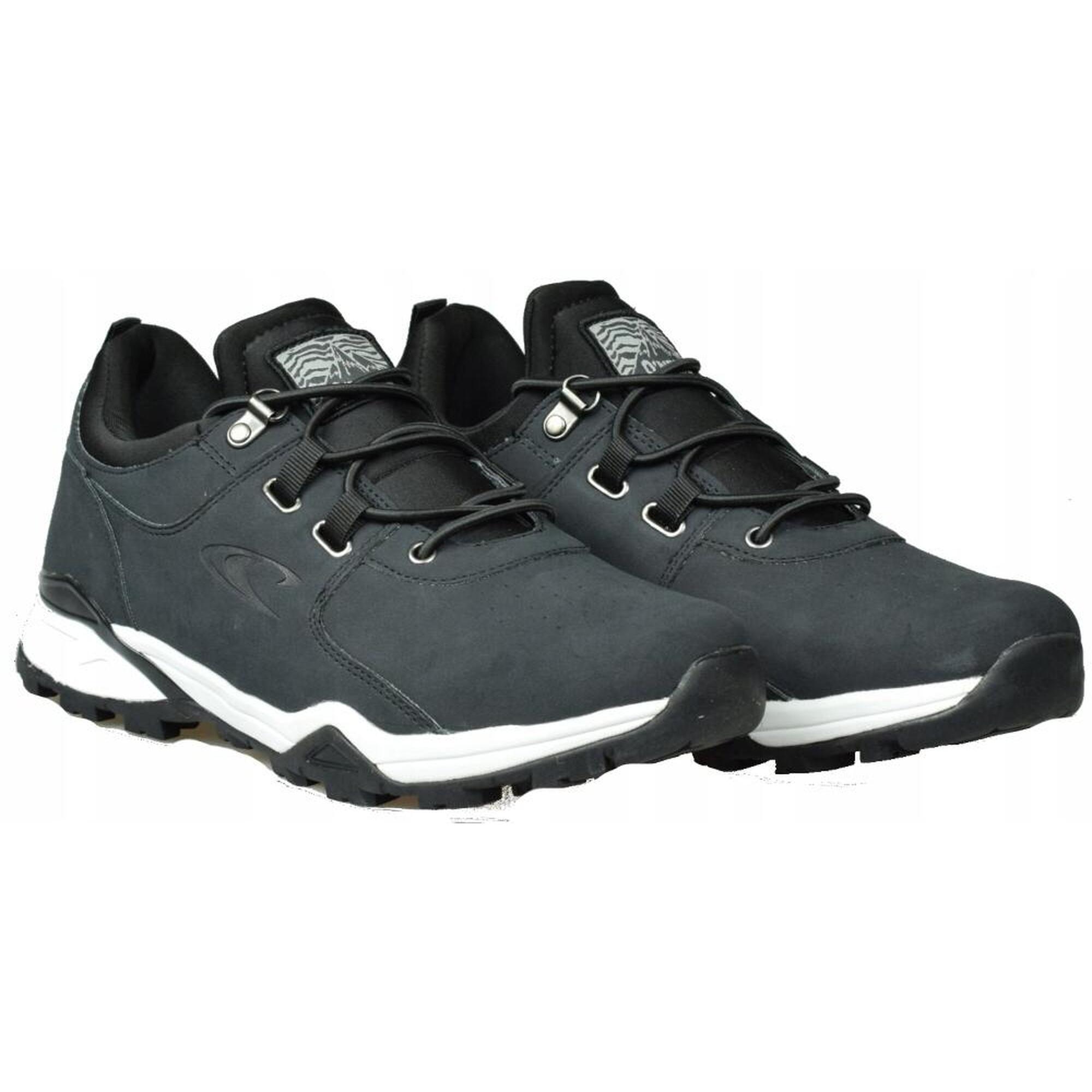 Buty sportowe dla mężczyzn Longs Peak Low