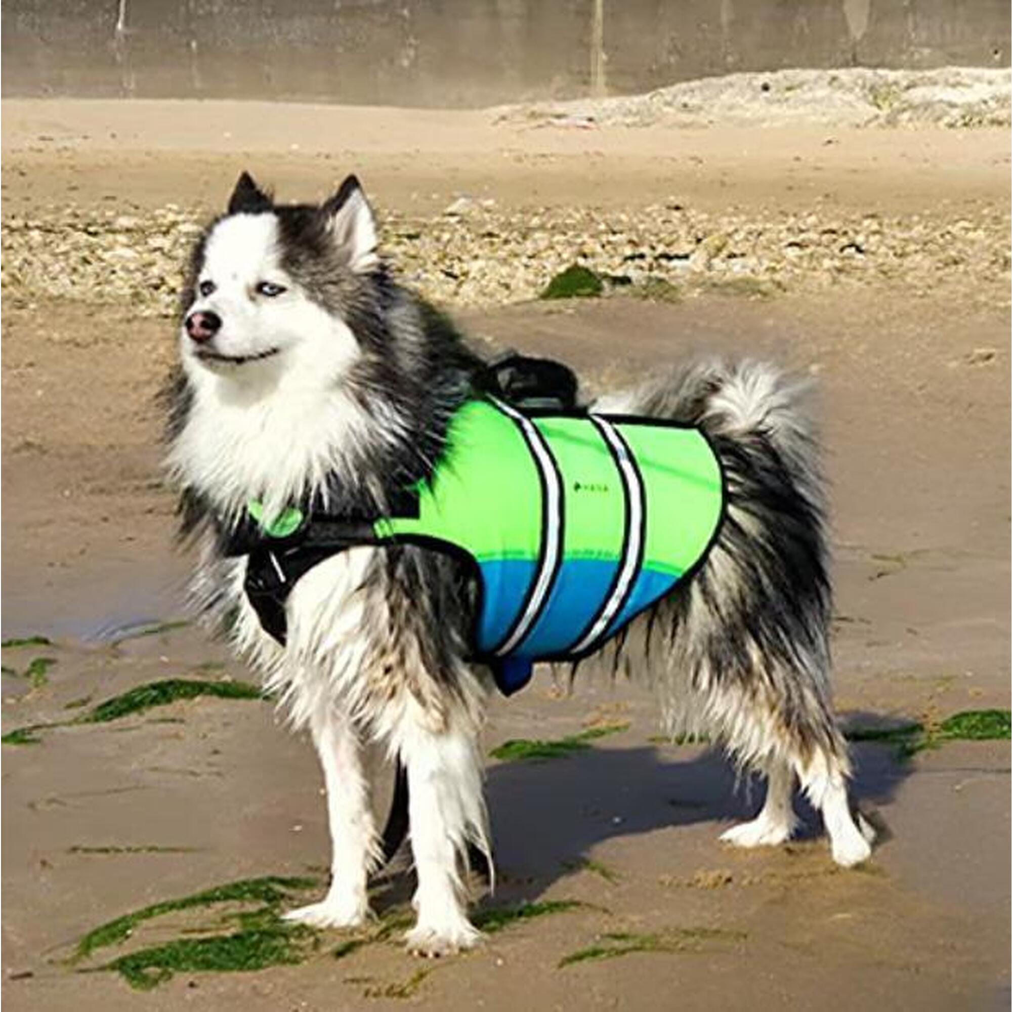 Kamizelka ratunkowa dla psa HANA