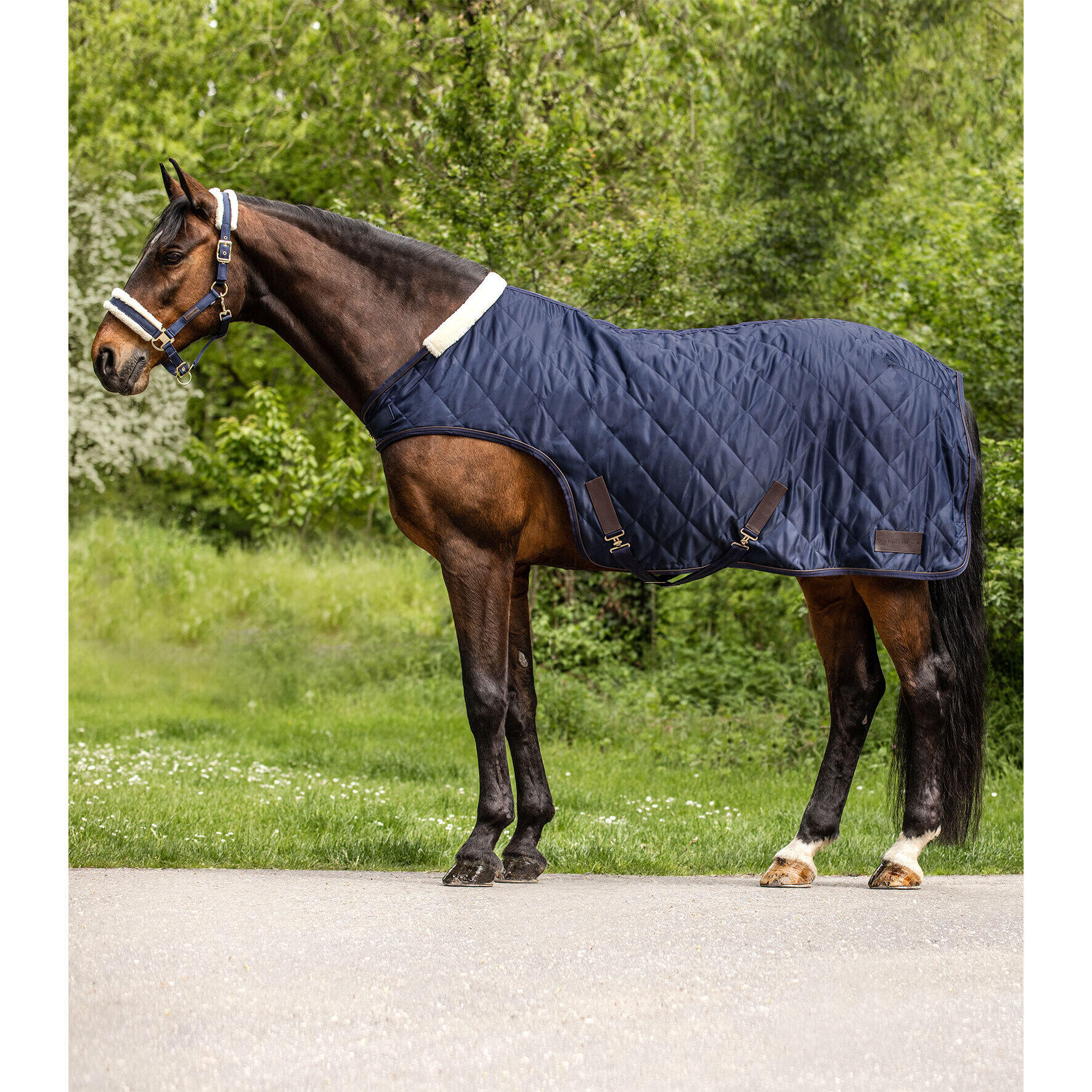 Derka padokowa dla koni Waldhausen Exclusive