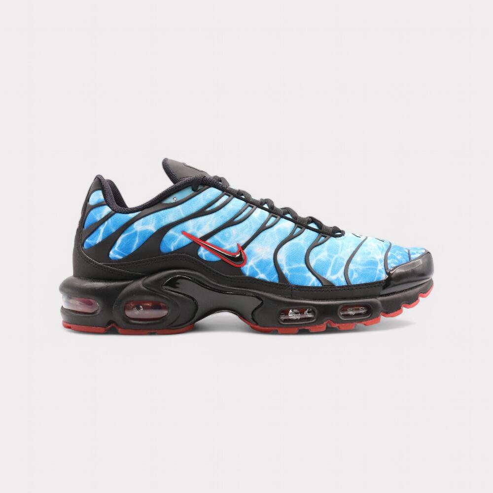 Buty sportowe męskie Nike Air Max Plus