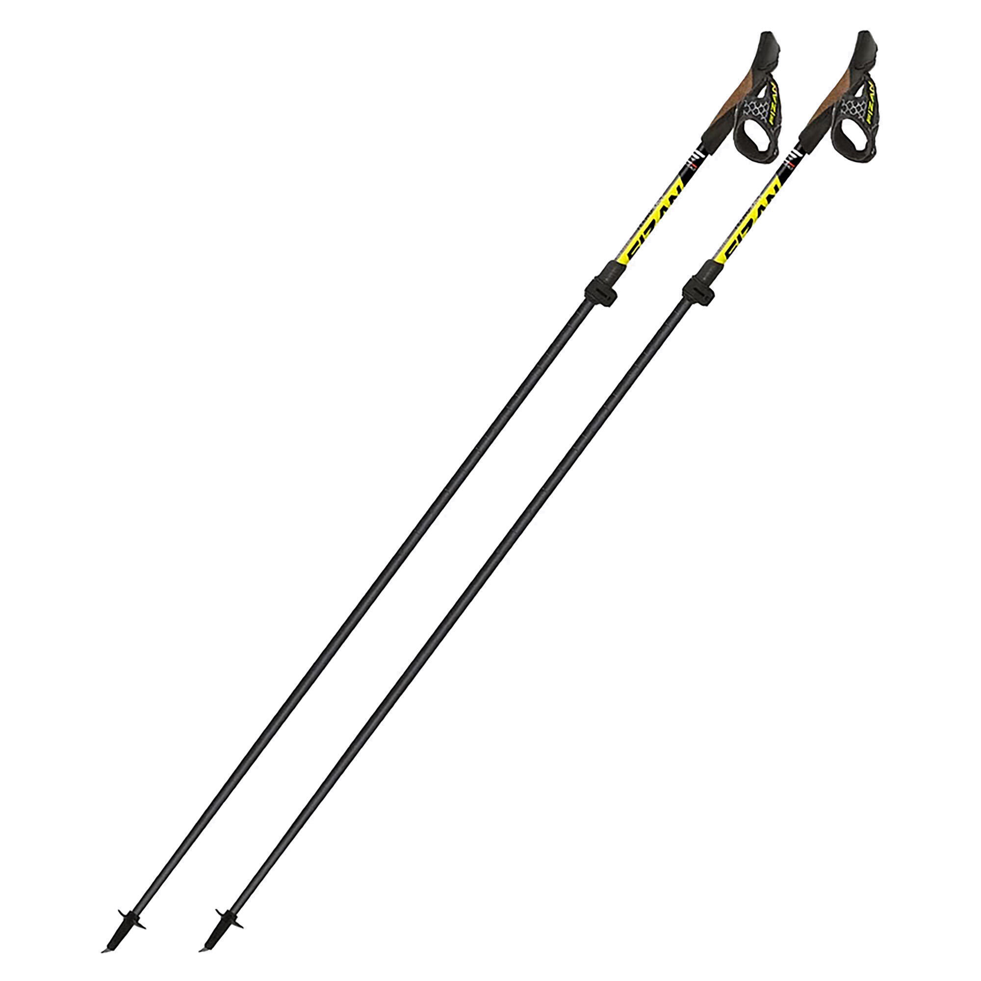 Kije nordic walking Fizan Tekno Race