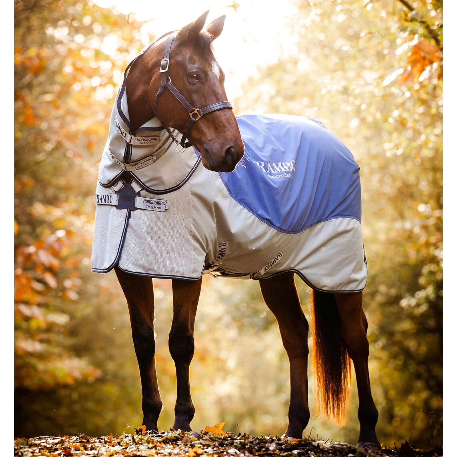 Wodoodporna derka dla koni Horseware Rambo Autumn Series 100g