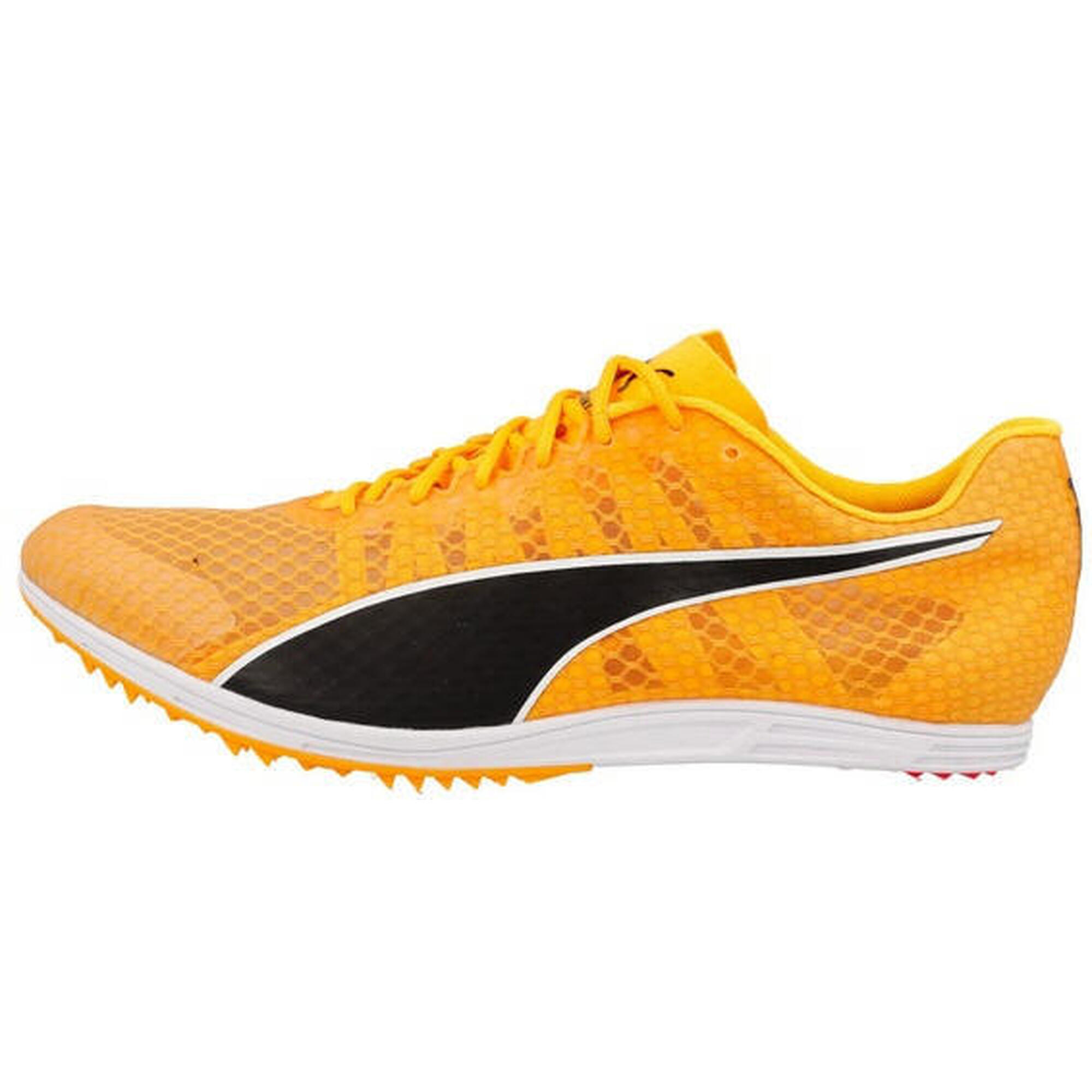 Buty sportowe Puma Evospeed Distance 11