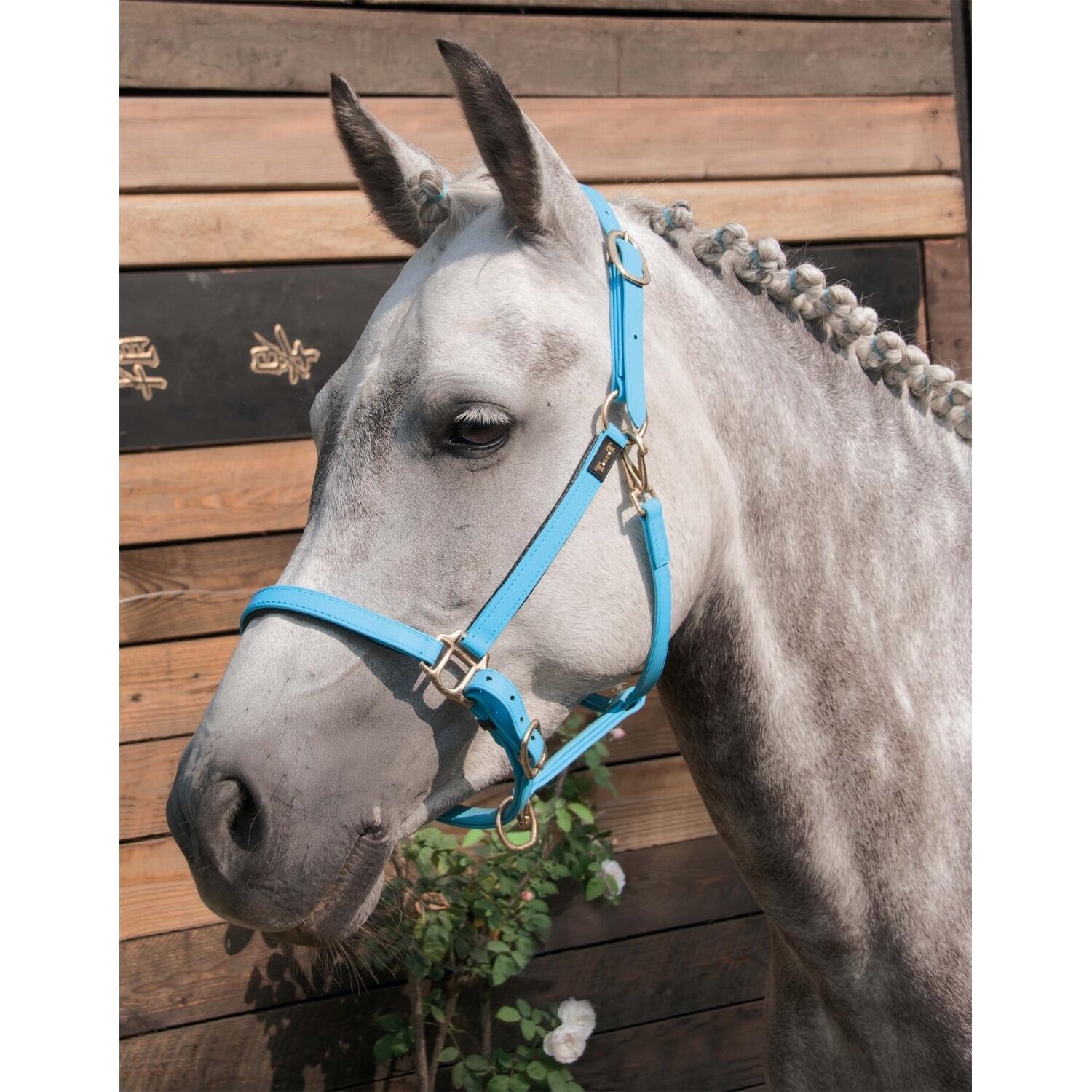 Kantar dla koni T de T Biotack®