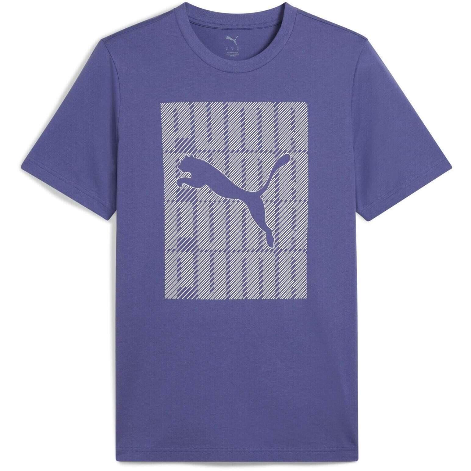 Koszulka męskie Puma Graphics Wording Tee