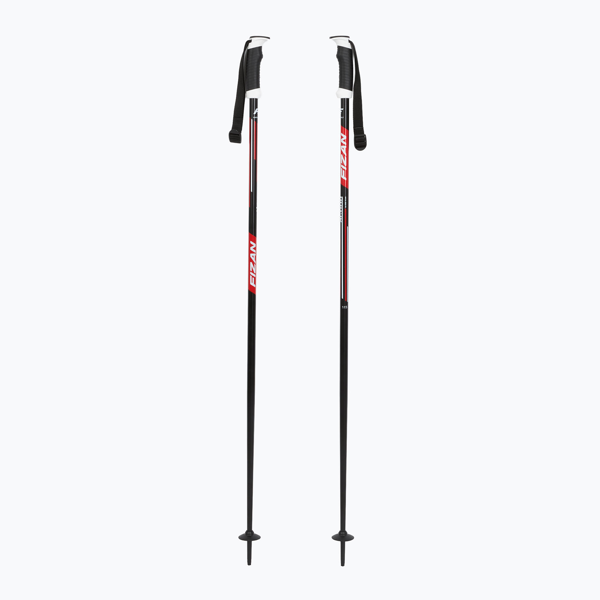 Kije narciarskie Fizan Action Pro