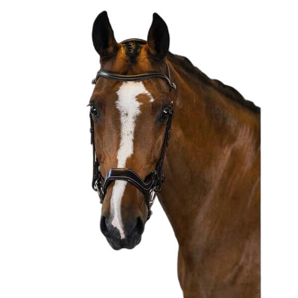 Uzda do jazdy konnej PS of Sweden Pioneer