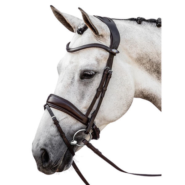 Uzda do jazdy konnej PS of Sweden Flying Change