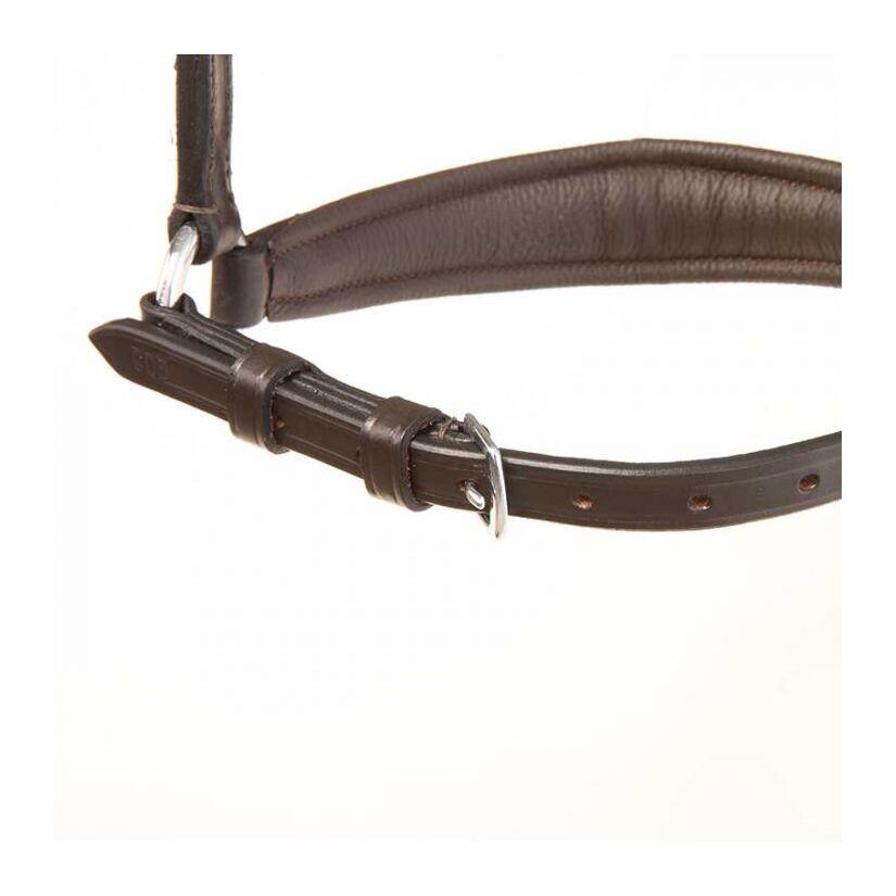 Nachrapnik Kavalkade