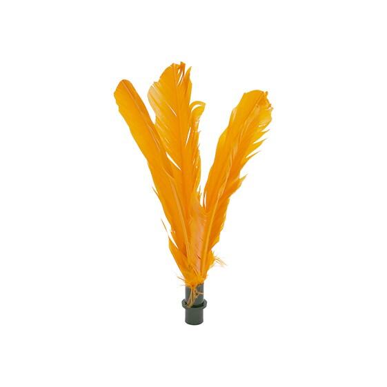 Spaire Pairt dla Indiaka