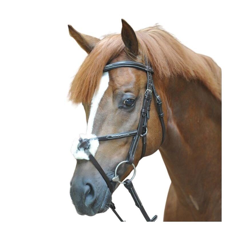 Uzda do jazdy konnej Kavalkade Diandro