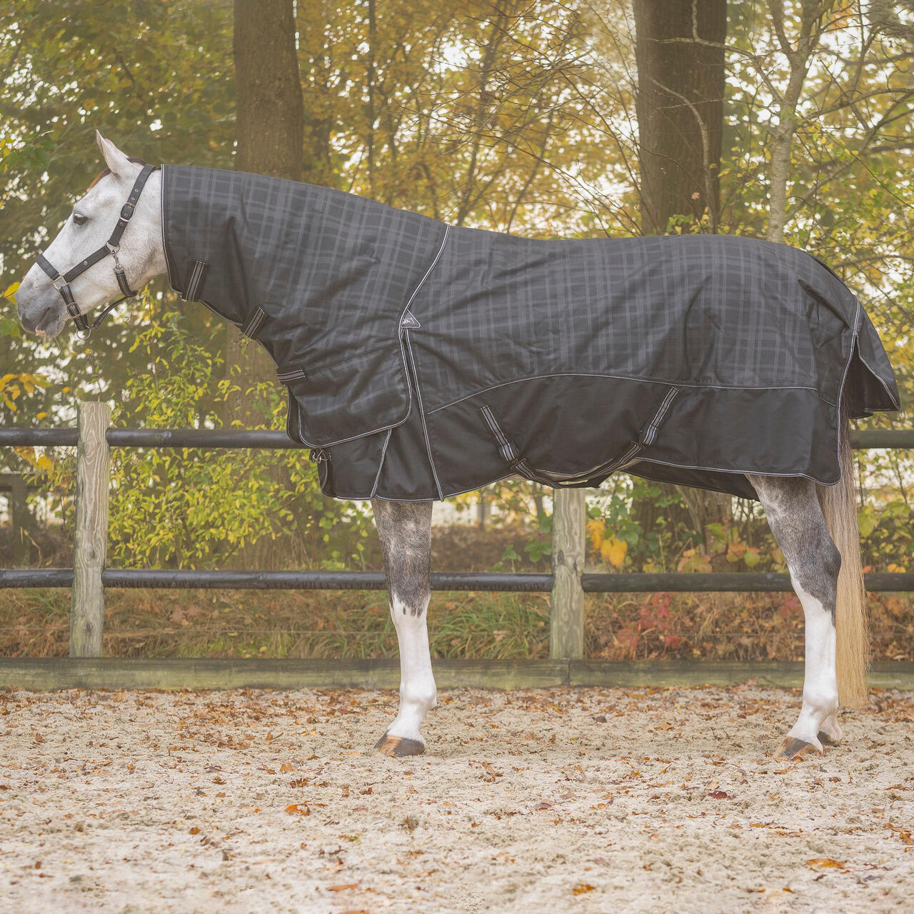 Pokrowiec na szyję dla konia z odpinanym elementem QHP Collection 150g