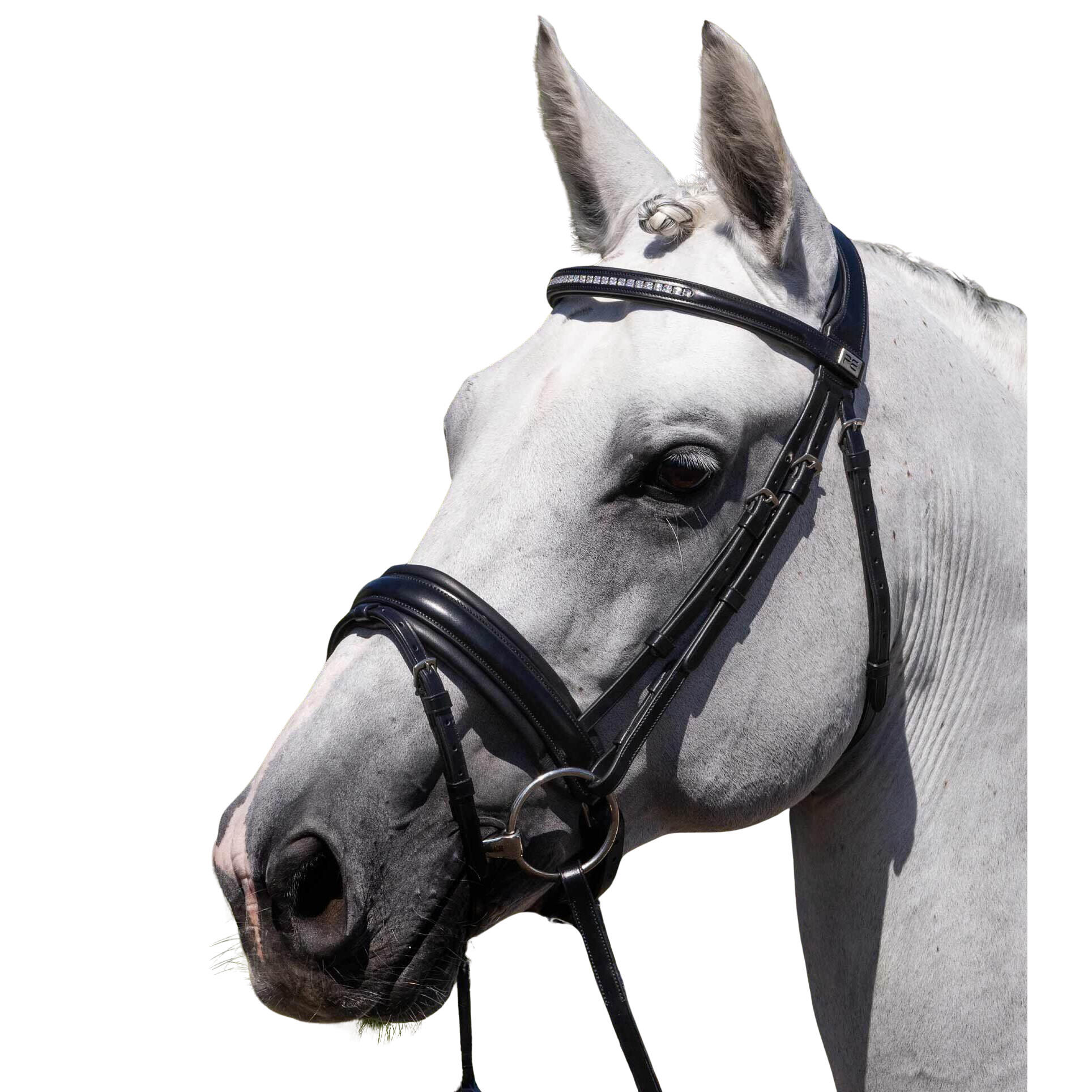 Bryczka anatomiczna Premier Equine Castello