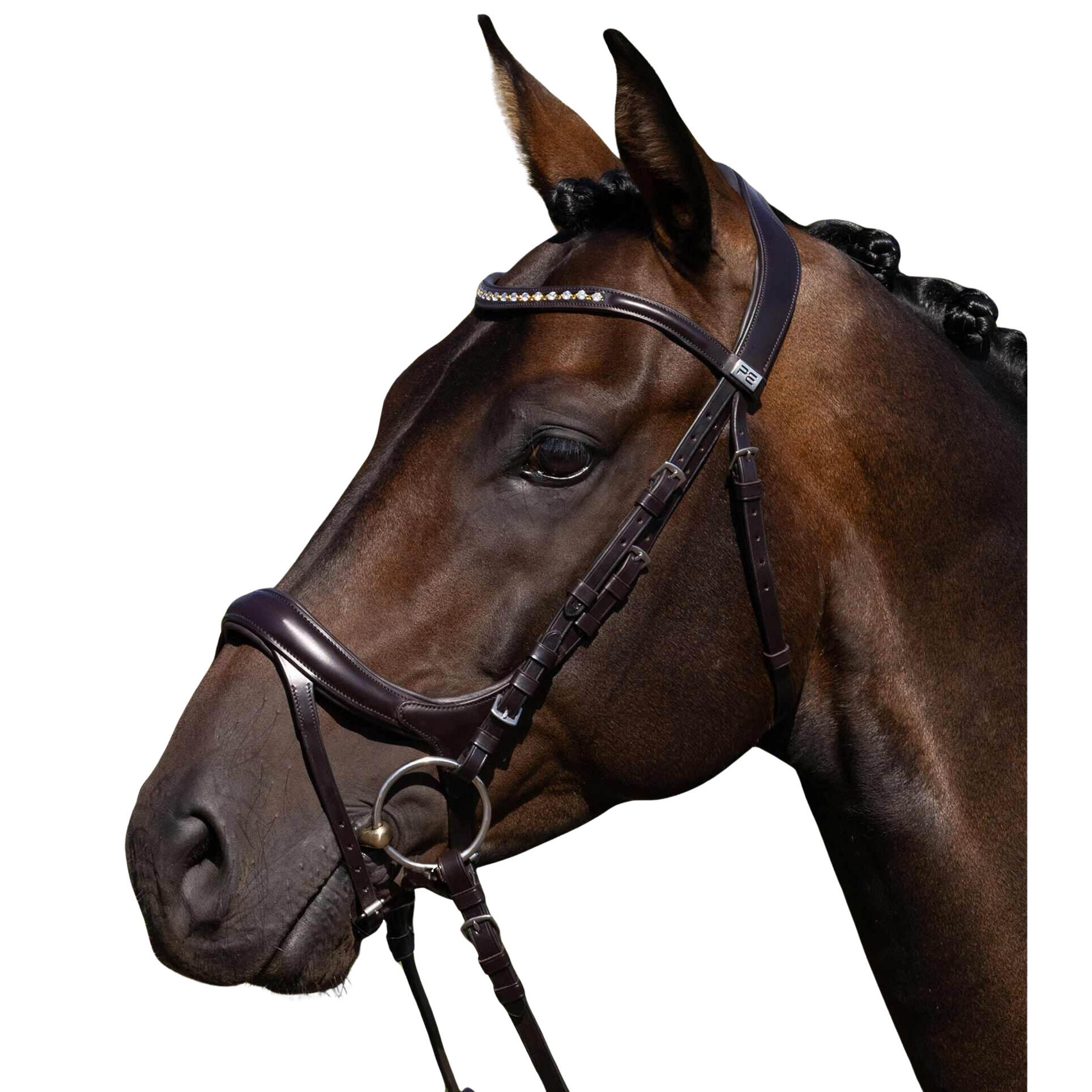 Siodło jeździeckie Premier Equine Palazzo