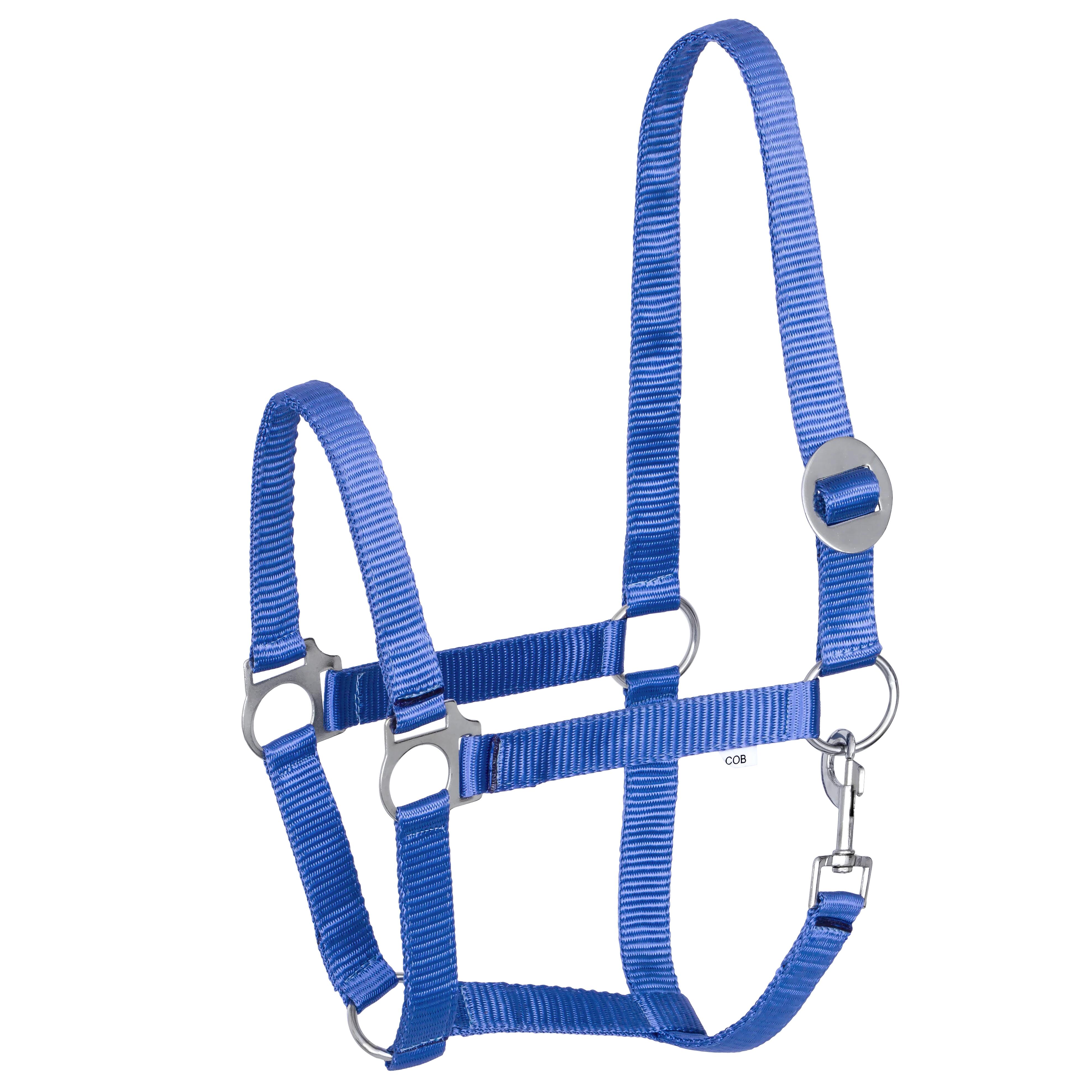 Kantar START Economic