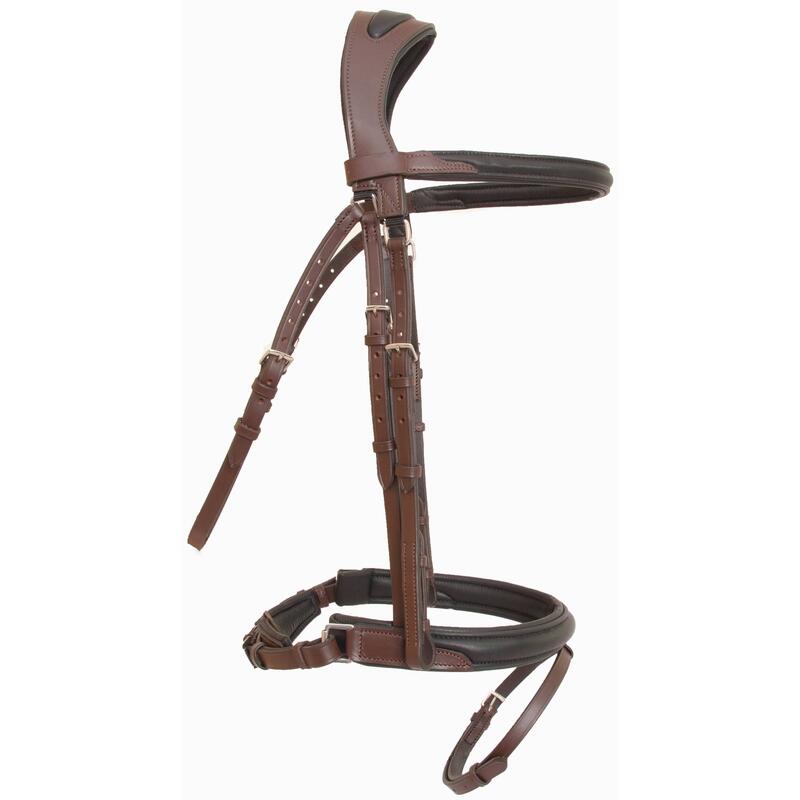 Ogłowie T de T Lautrec