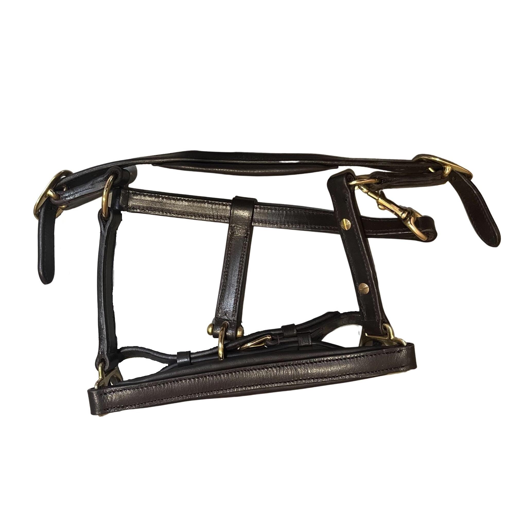 Skórzana halterka dla koni Premiere Equitation