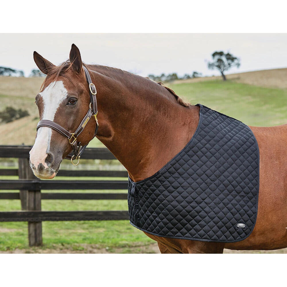 Ochraniacze na barki dla koni Weatherbeeta Deluxe