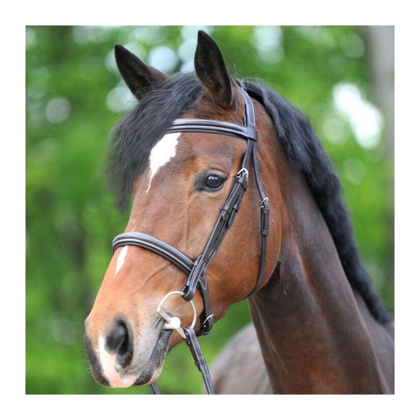 Uzda do jazdy konnej Kavalkade Akila Hunter