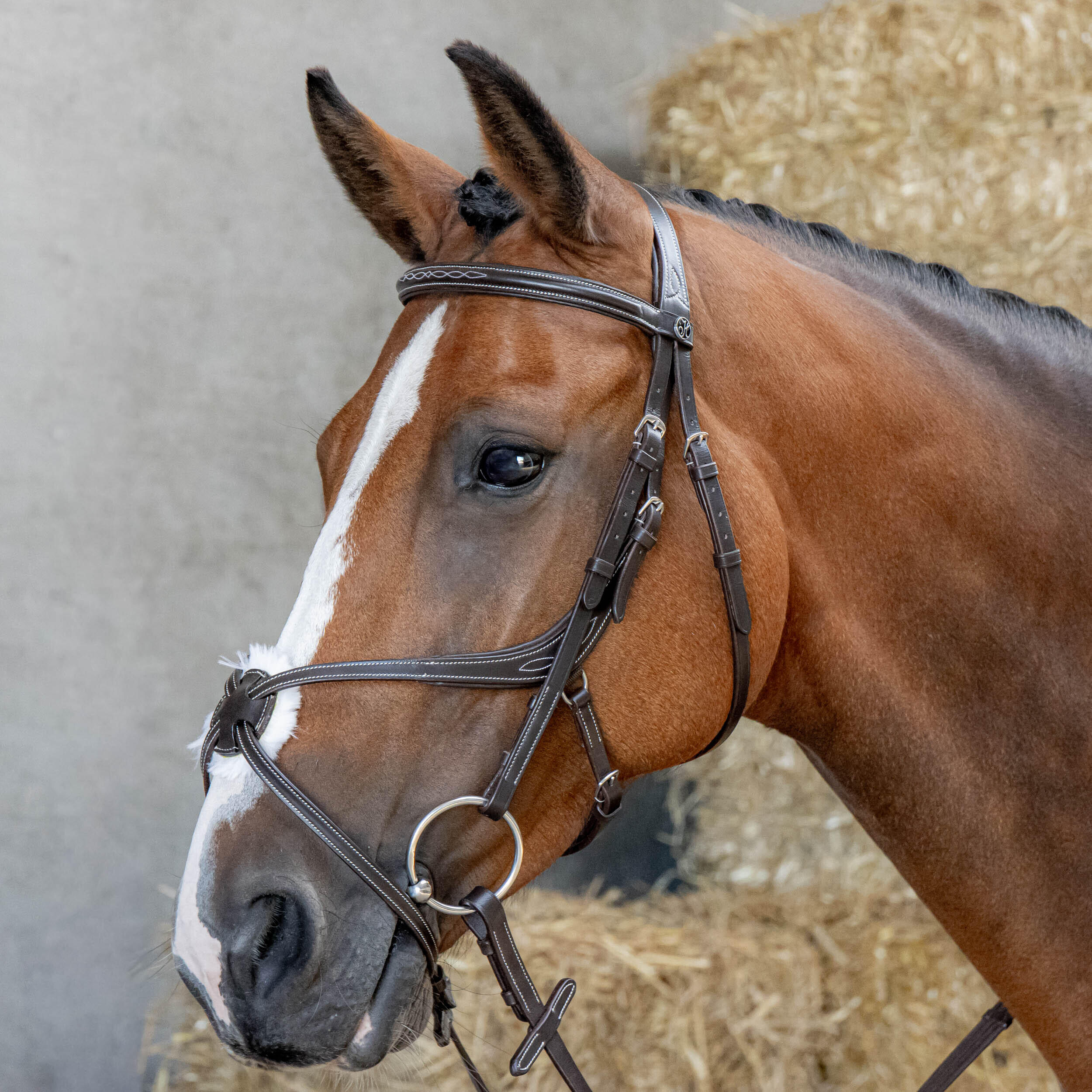 Uzda jeździecka z anatomicznym nachrapnikiem meksykańskim Harry's Horse