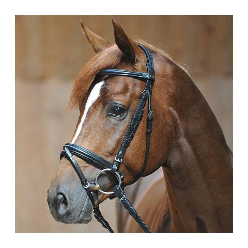 Uzda do jazdy konnej Kavalkade Ravenna