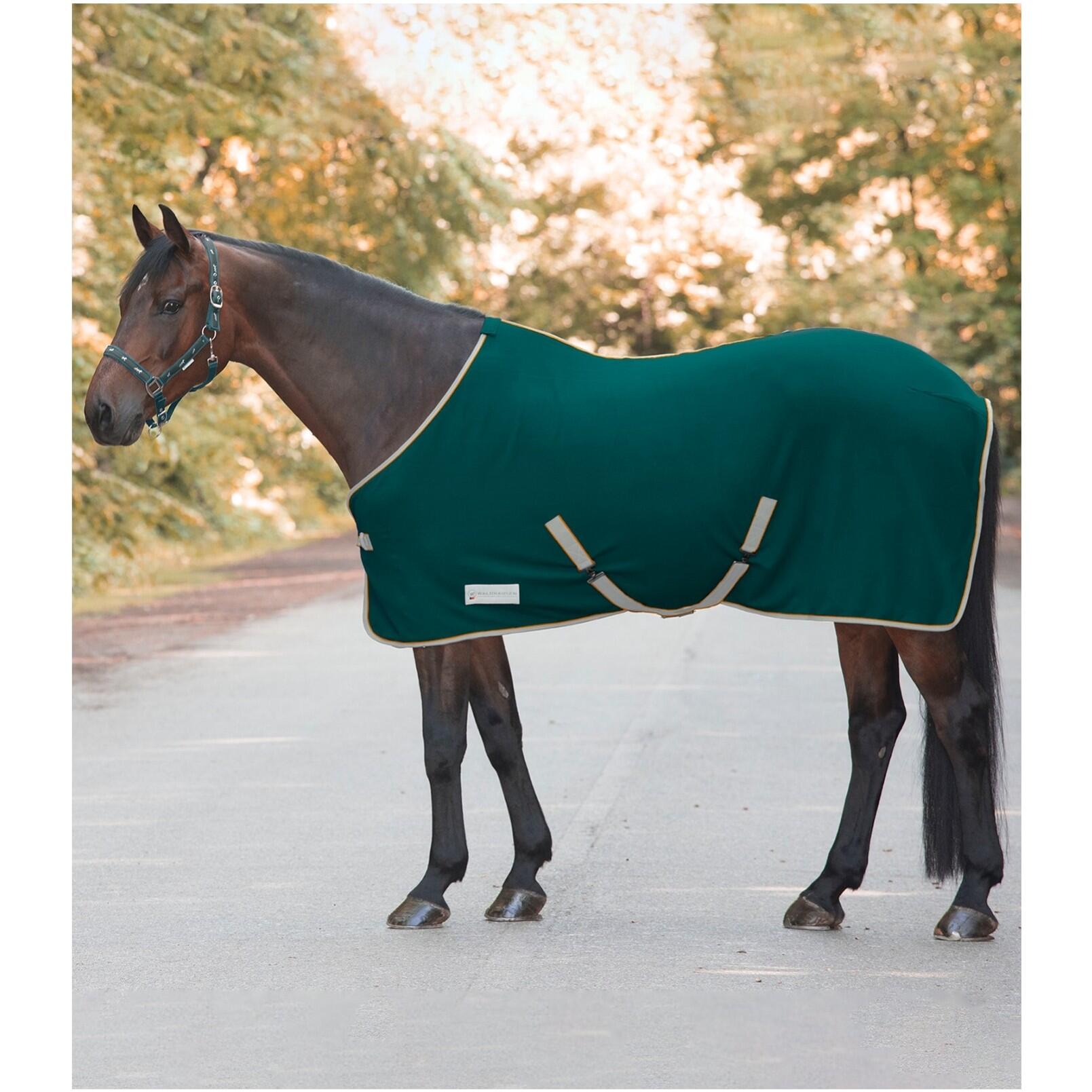 Polar dla konia z krzyżującymi się pasami Waldhausen Economic