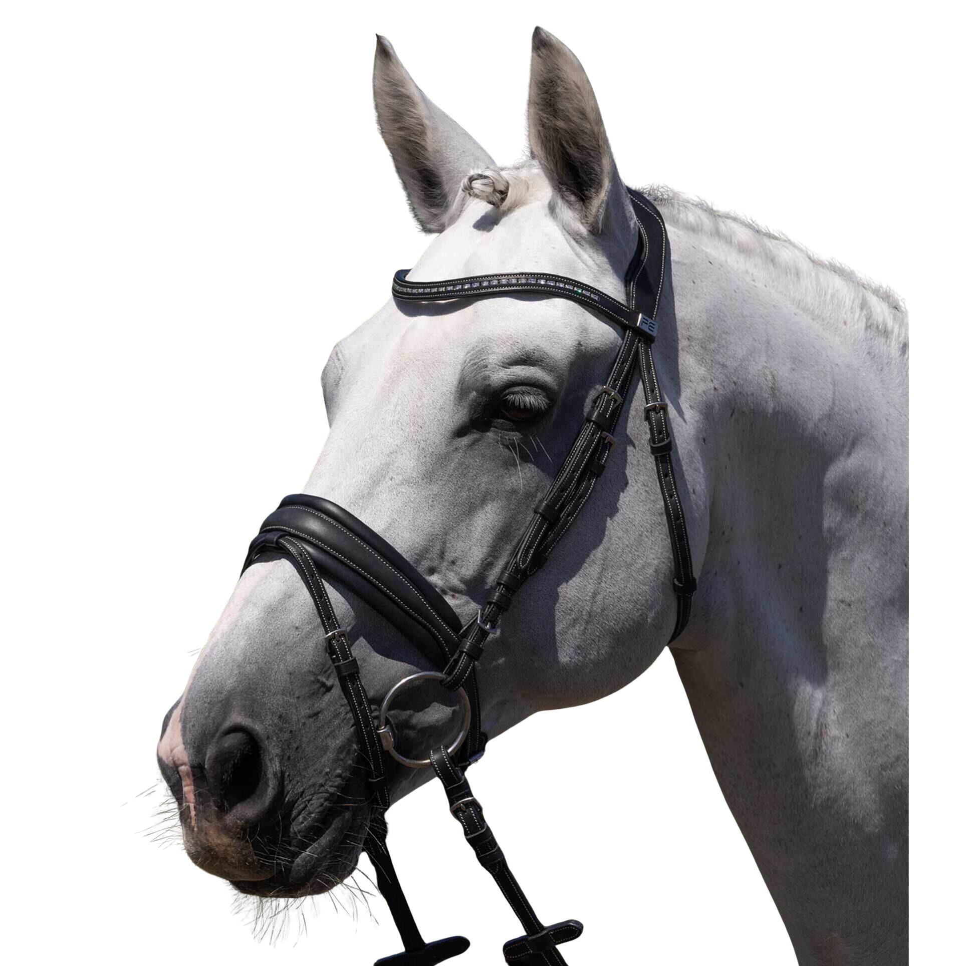 Siodło jeździeckie Premier Equine Veneto