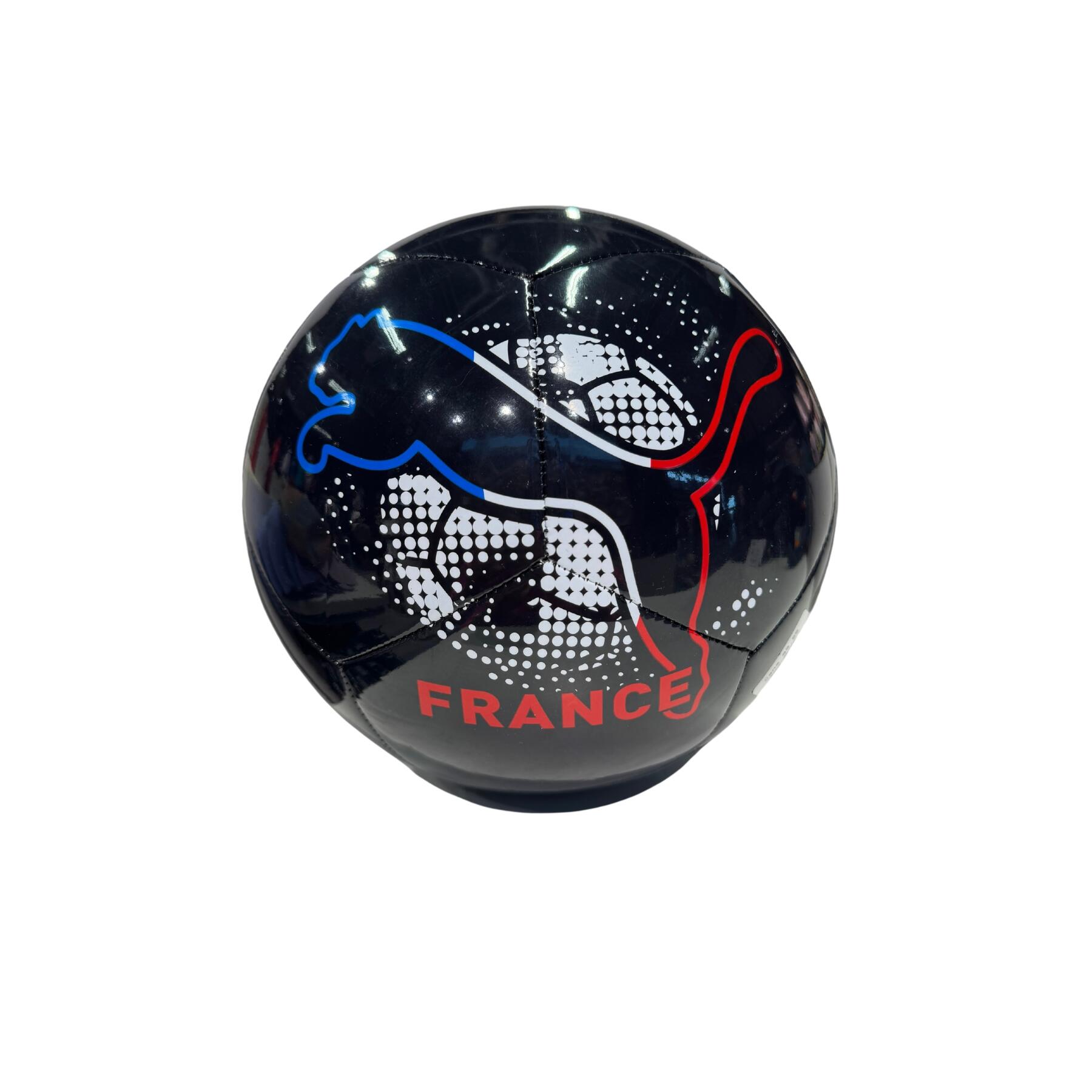 Piłka Puma Euro Non-Licensed Fan Ball