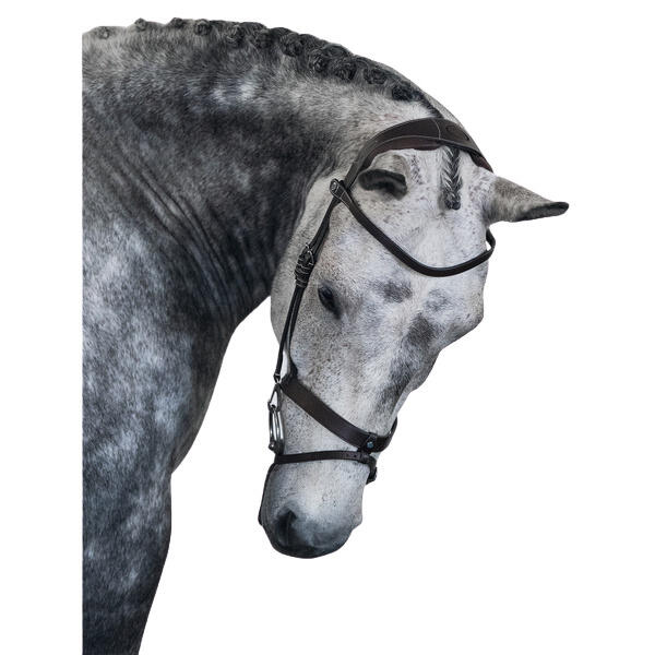 Uzda do jazdy konnej PS of Sweden London