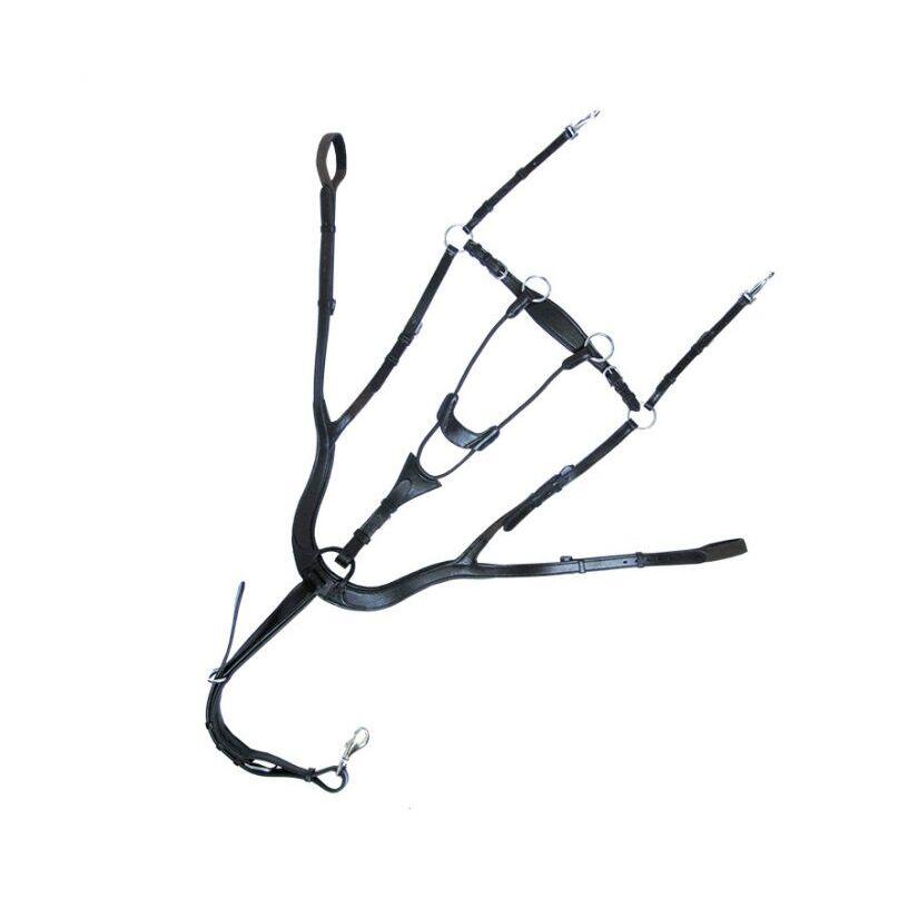 5-punktowy napierśnik, anatomiczna Kavalkade Caya