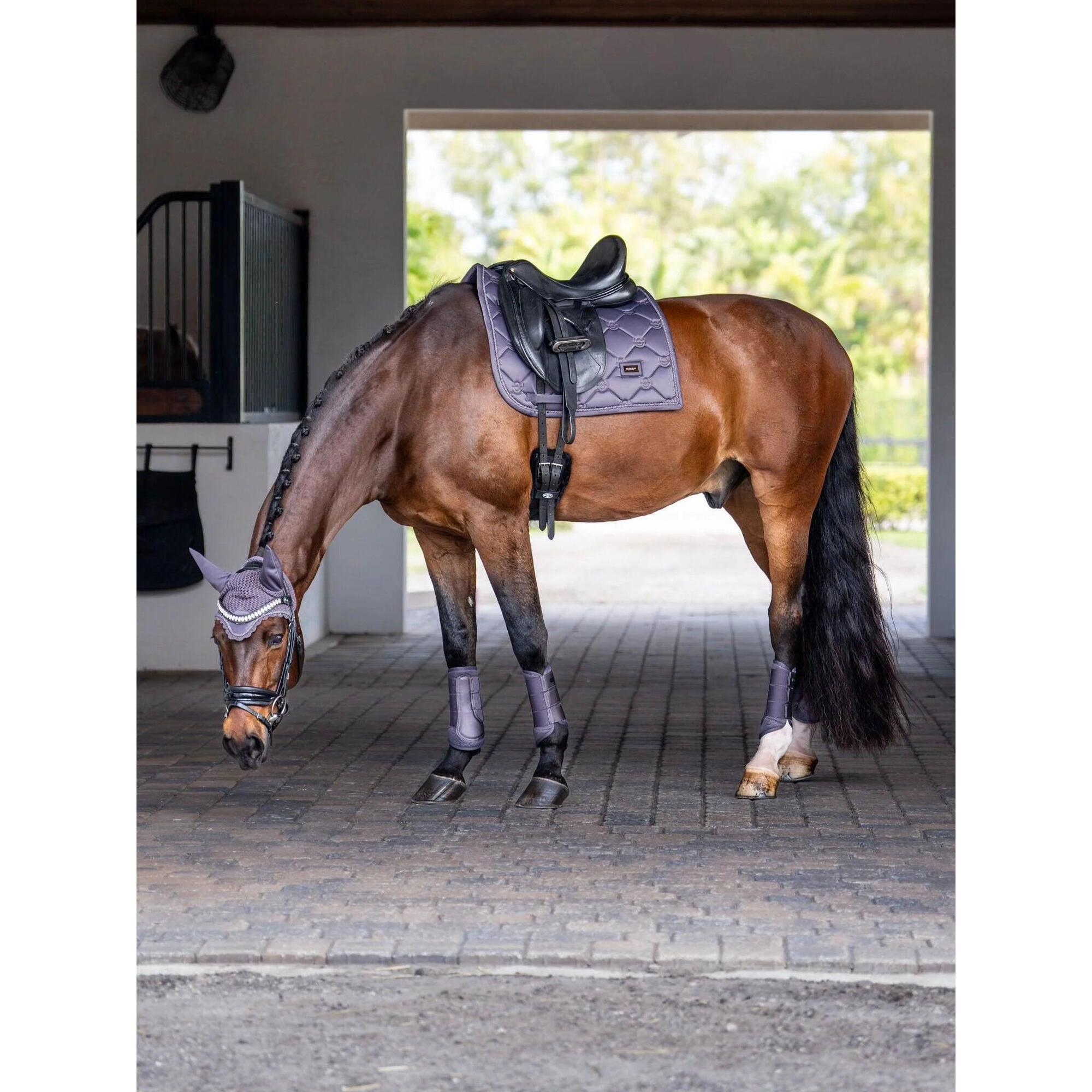 Mata ujeżdżeniowa dla koni Equestrian Stockholm