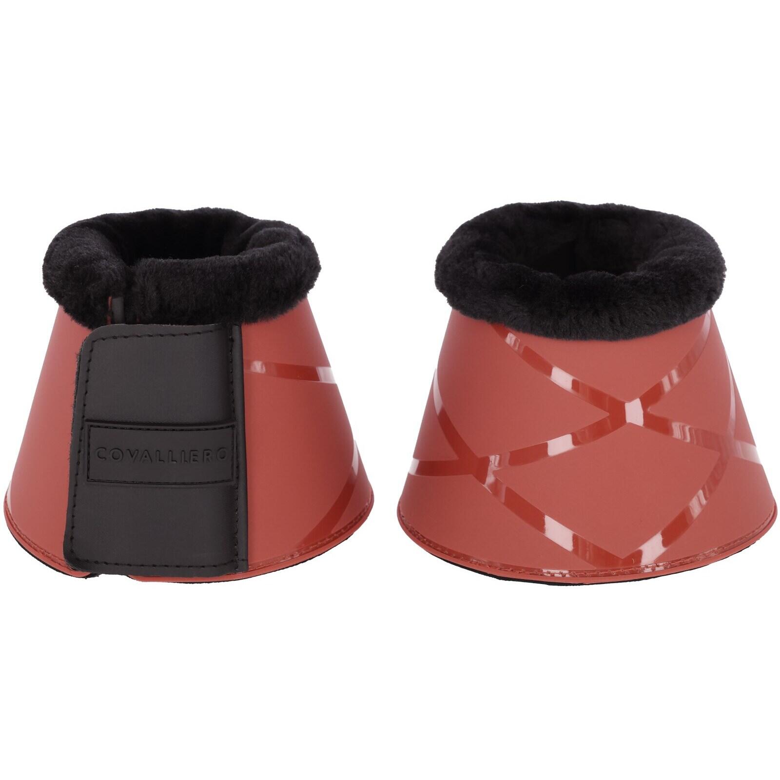 Końskie dzwonki Covalliero