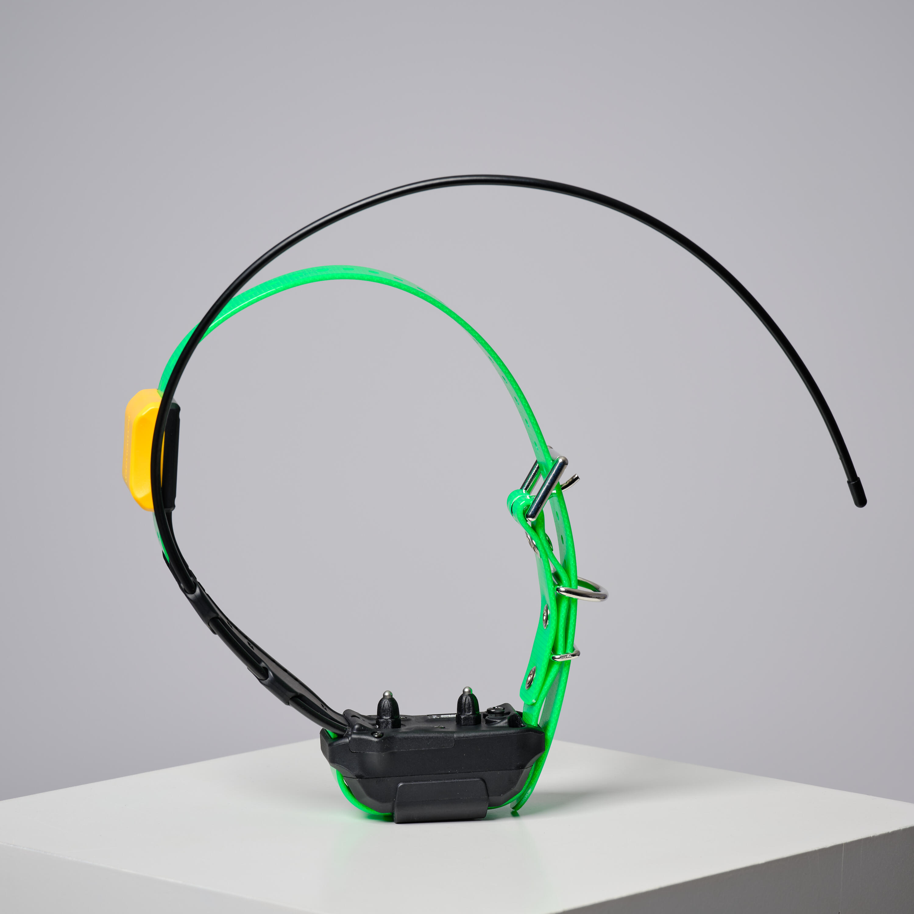 Dodatkowa obroża Dogtra Pathfinder V2 dla psa