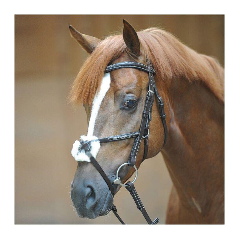 Uzda do jazdy konnej Kavalkade Diandro