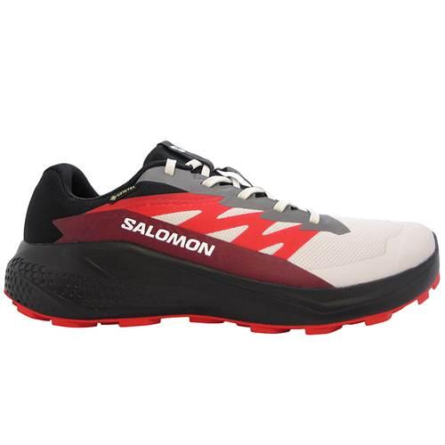 Buty do biegania męskie Salomon Alphaglide Gtx