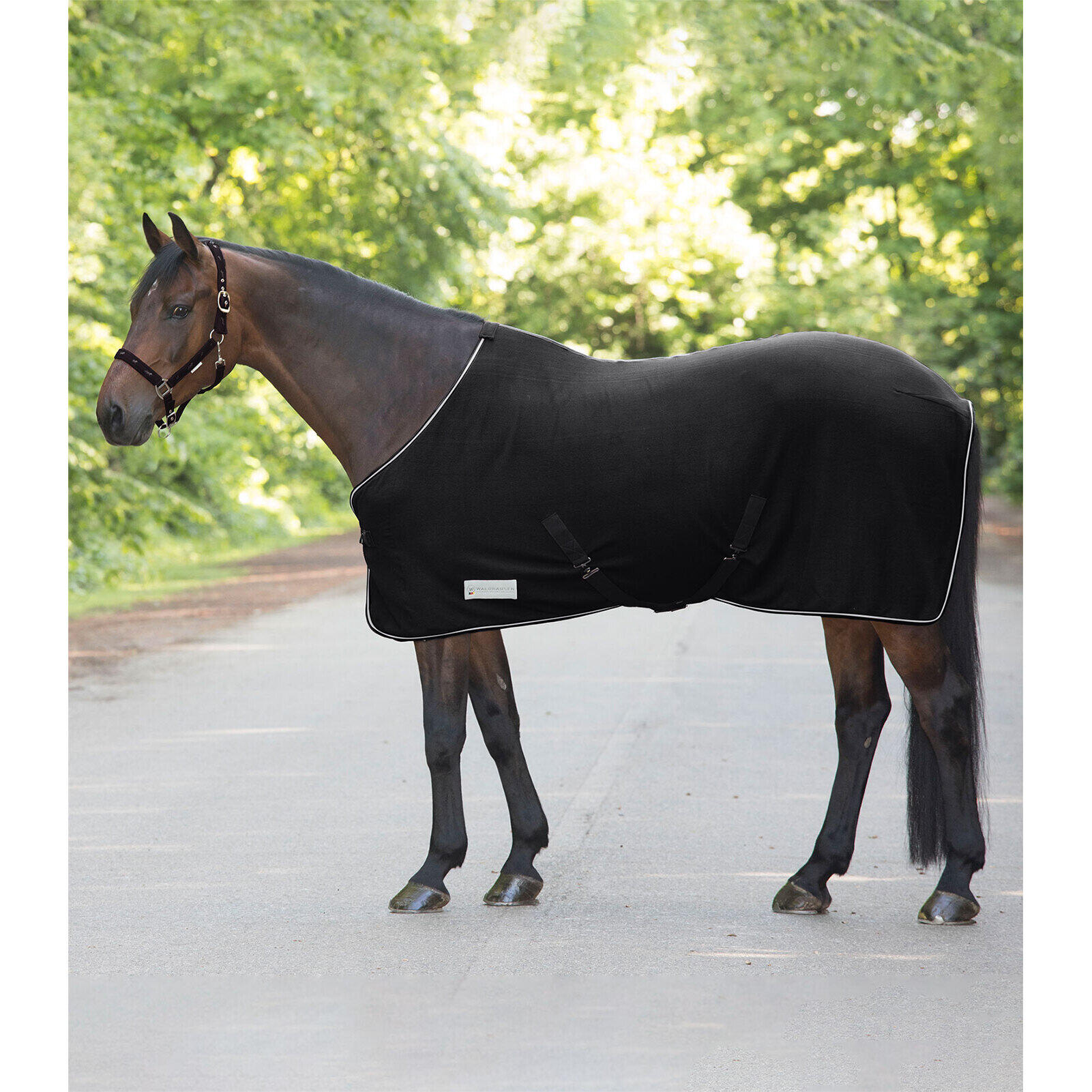 Polar dla konia z krzyżującymi się pasami Waldhausen Economic