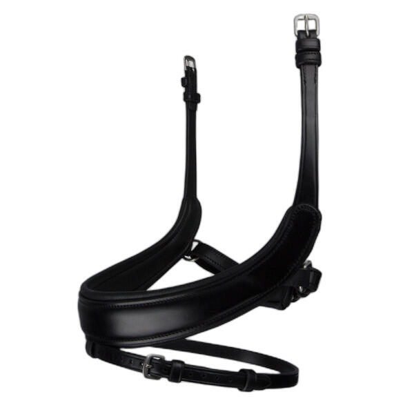 Nachrapnik PS of Sweden Paladin