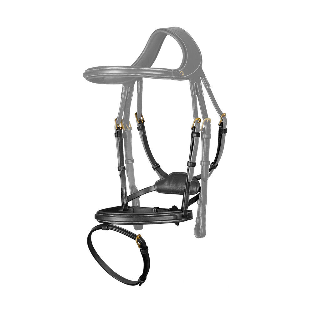 Nachrapnik Dy'on Difference