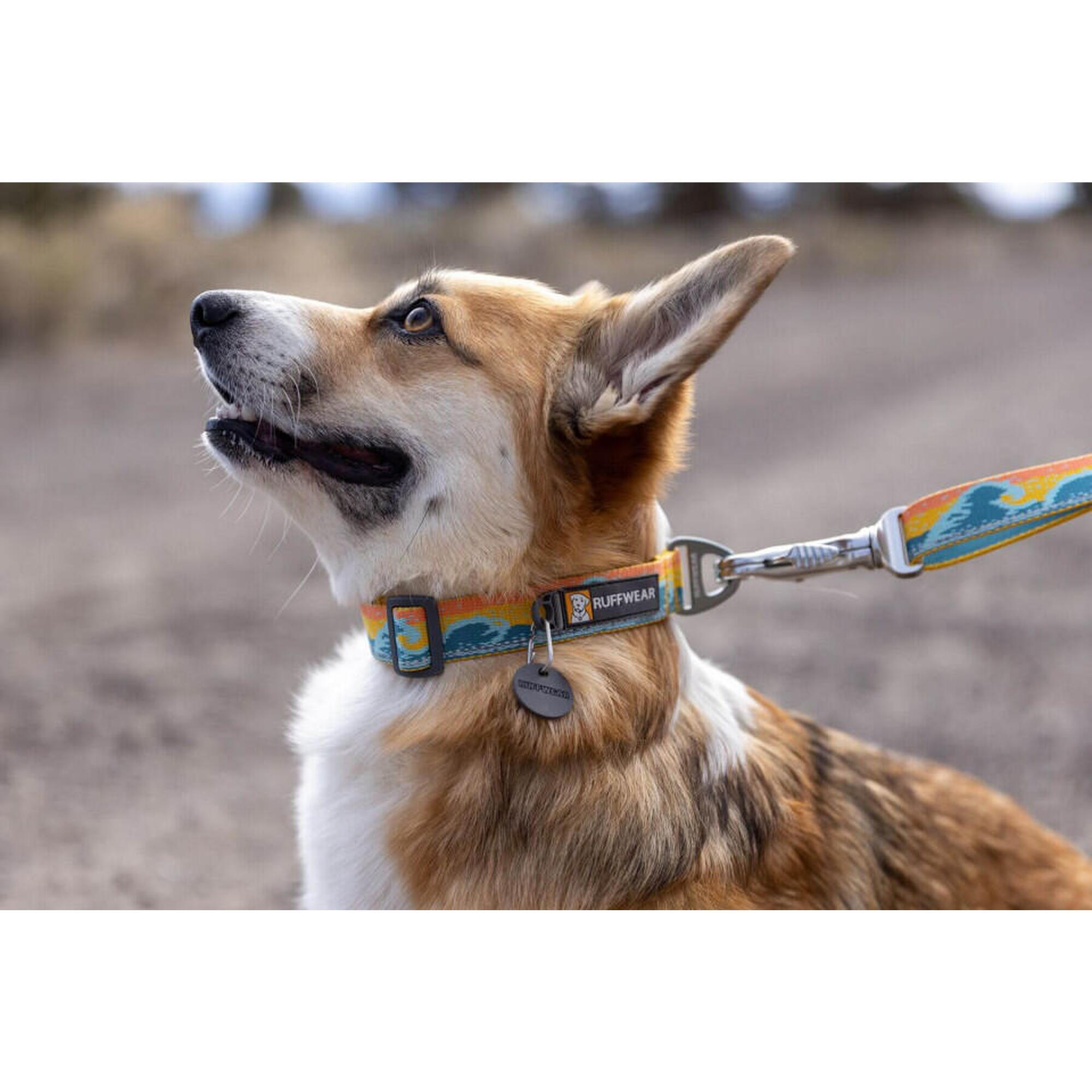 Obroża dla psa Ruffwear Crag Collar