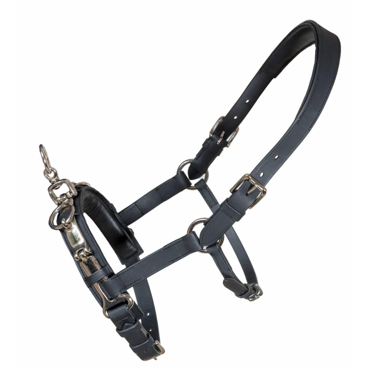 Kantar dla koni Karlslund Fengur Kapsun