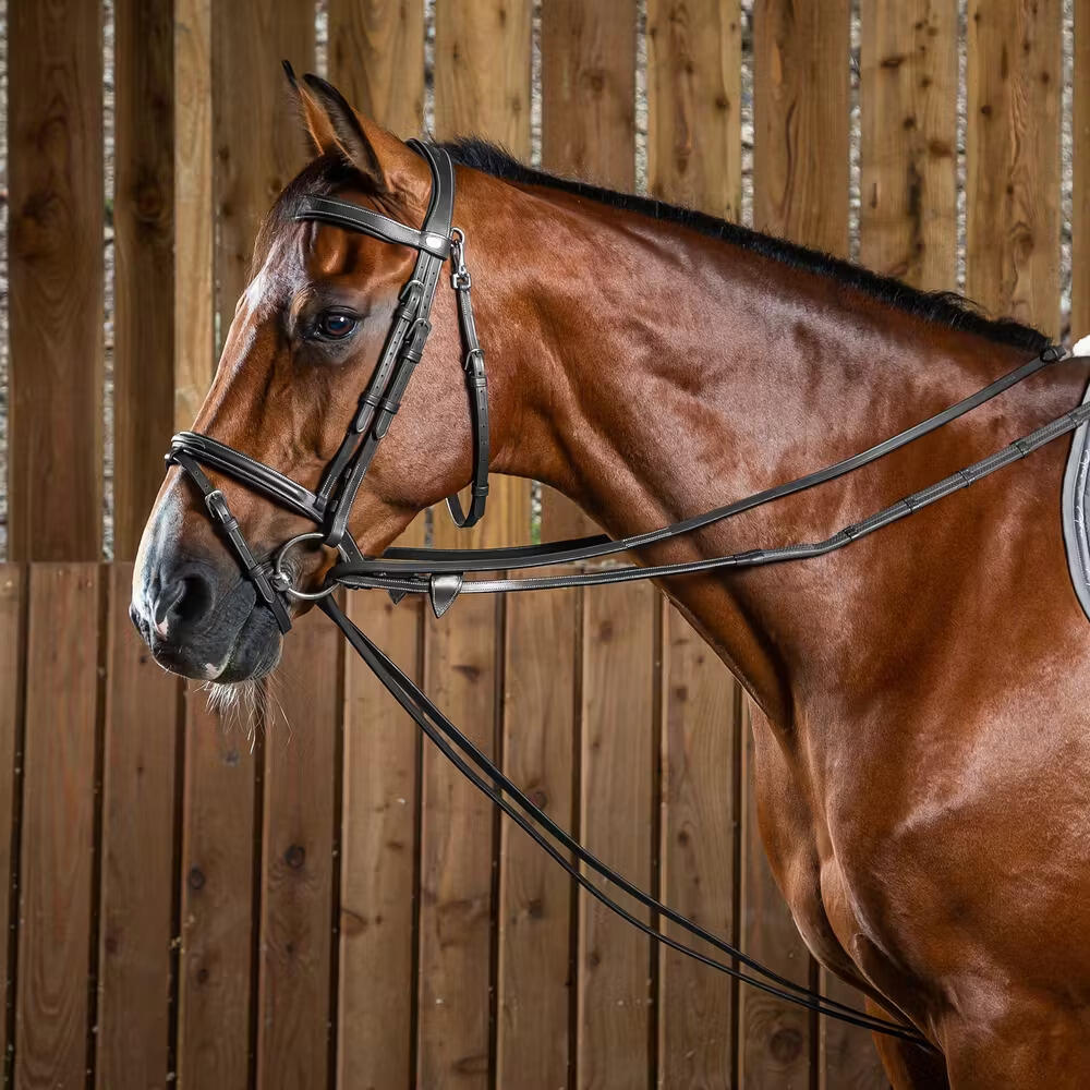 Skórzane wodze do konia Dy'on Working