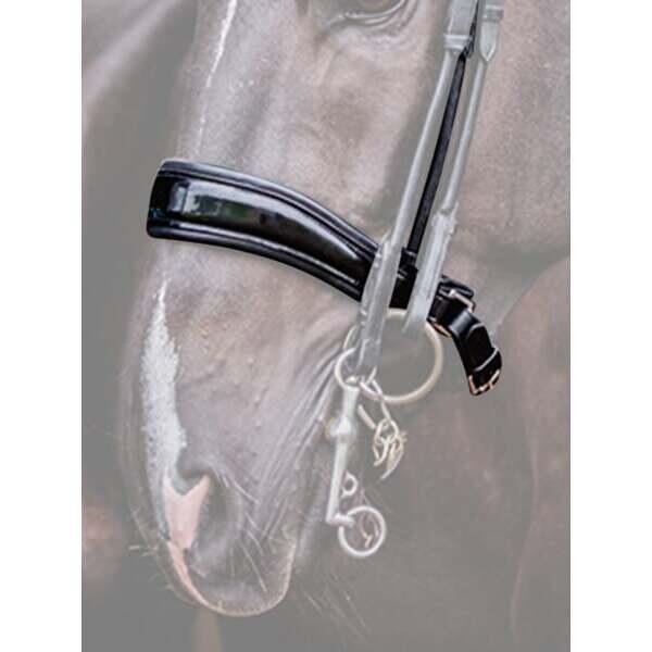 Nachrapnik PS of Sweden Passage Lacquered