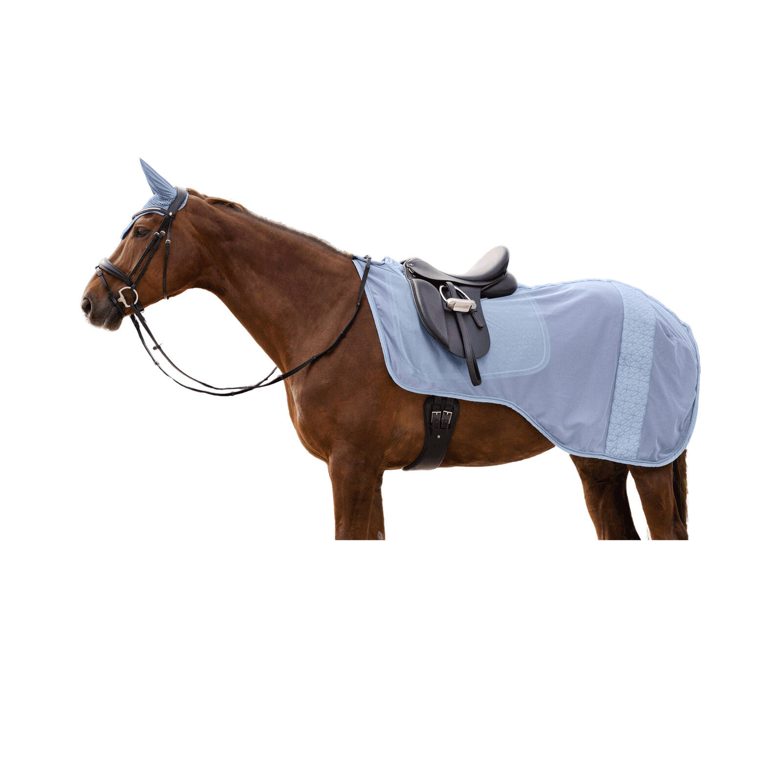 Derka przeciw muchom dla koni Waldhausen Rom