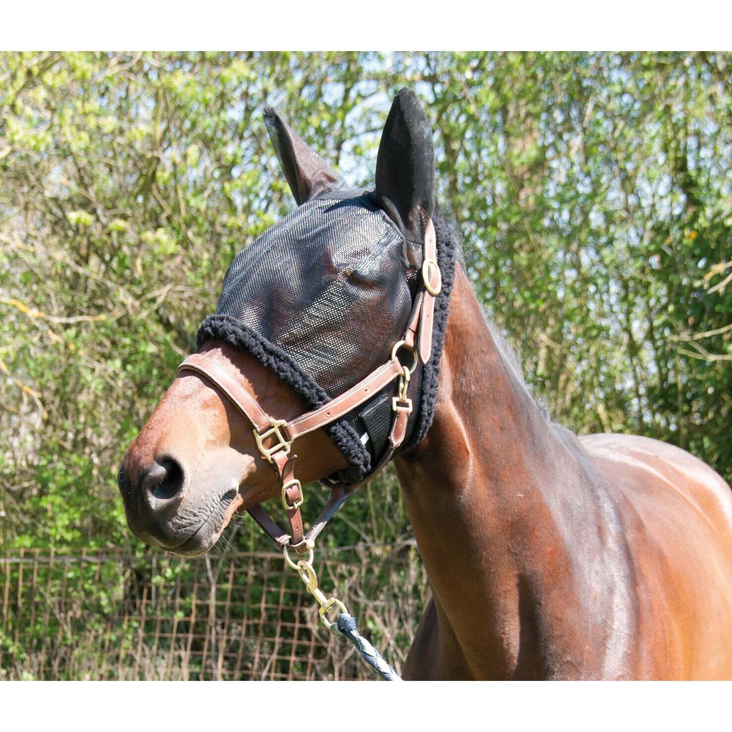 Czapka dla koni wypasanych na pastwisku T de T