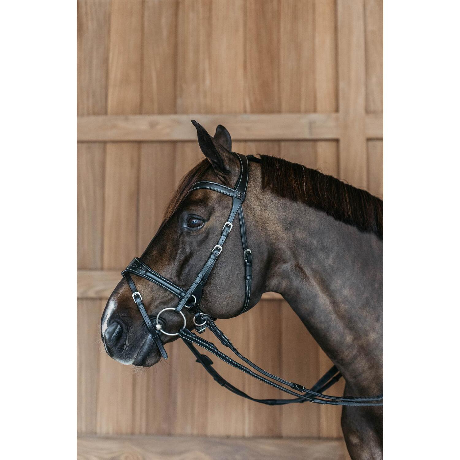 Uzda jeździecka Dy’on Working Motion